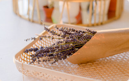 Romancy wellness products collection banner featuring bath and self-care essentials